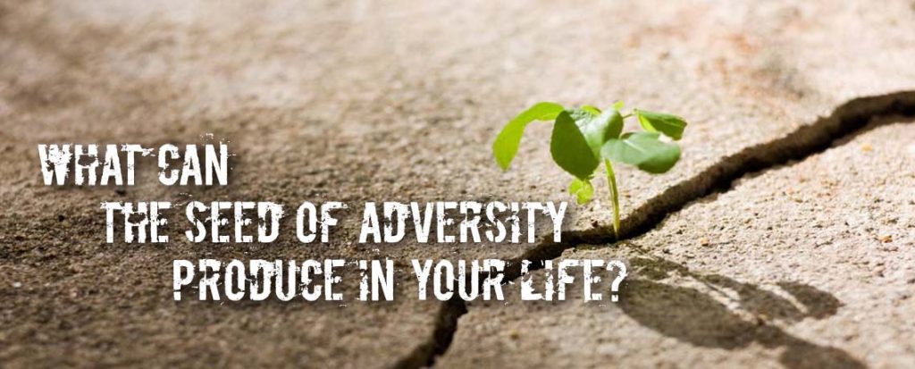 Seed of Adversity