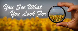 You See What You Look For