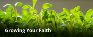 Growing Your Faith