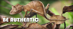 Be Authentic