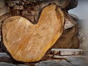 Being Perfected In Love