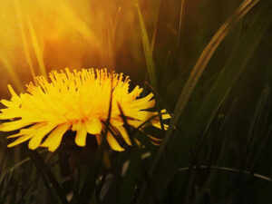 And when he came to himself