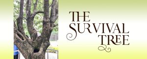 The Survival Tree