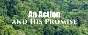 An Action and His Promise