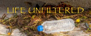 Life Unfiltered