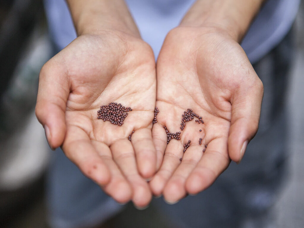 Do I Have Enough Faith?