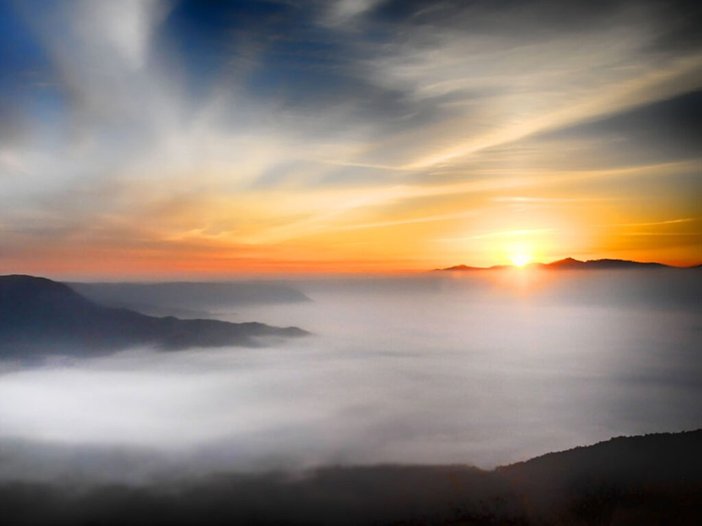 Identity And Authority