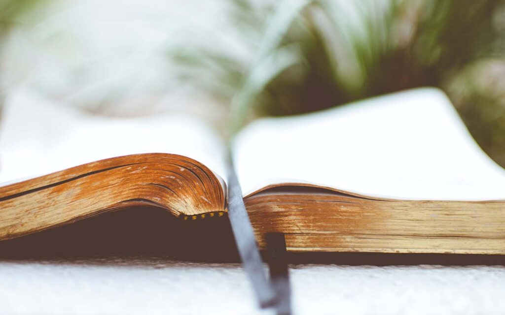 A Favorite Verse Revisited