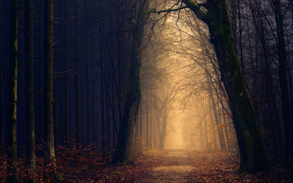 The One Who Goes Before Me