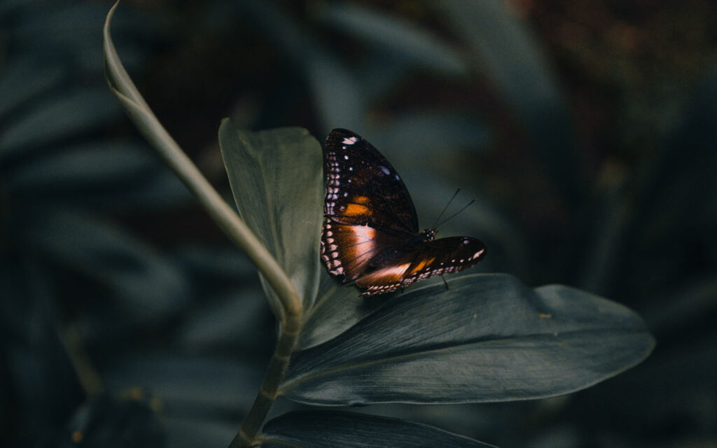 Who You Are... Really