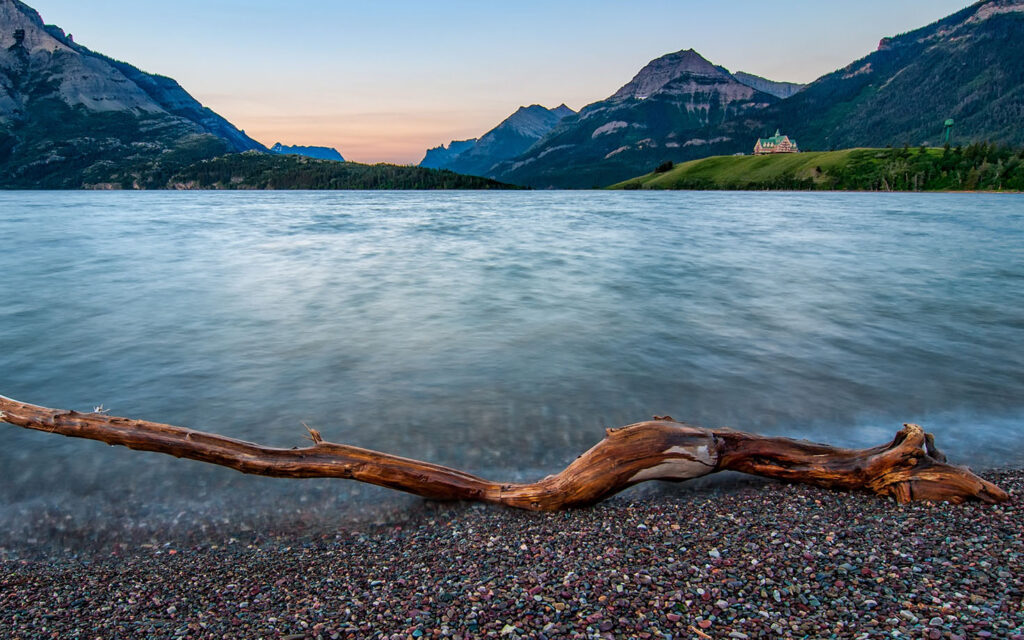 Beware Of The Driftwood