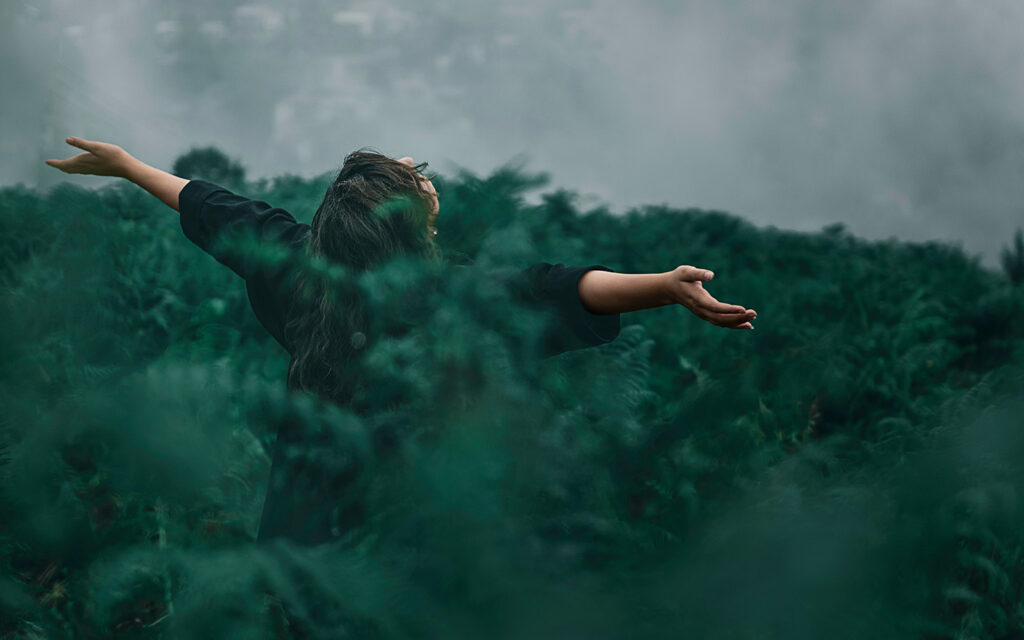 The Gratitude Attitude