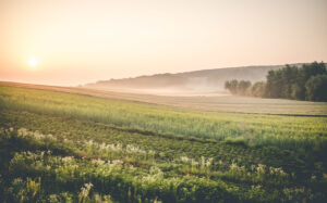 Do you remember their names?-22