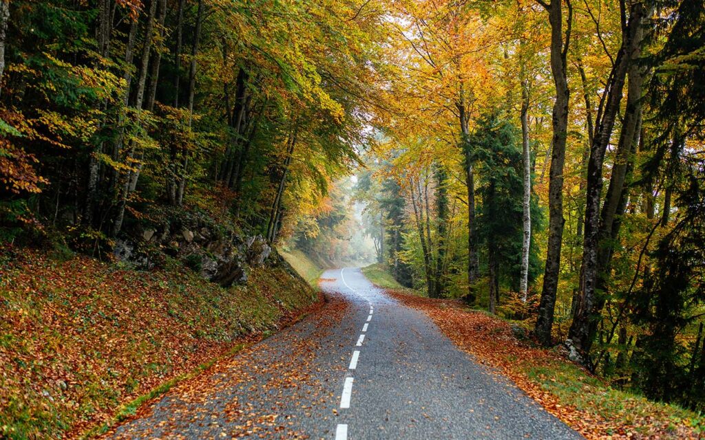 Only But A Season-22