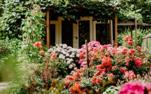 How-Does-Your-Garden-Grow-22