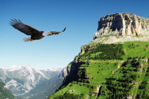 On Eagles Wings | Christ Fellowship Church in Fort Mill, SC