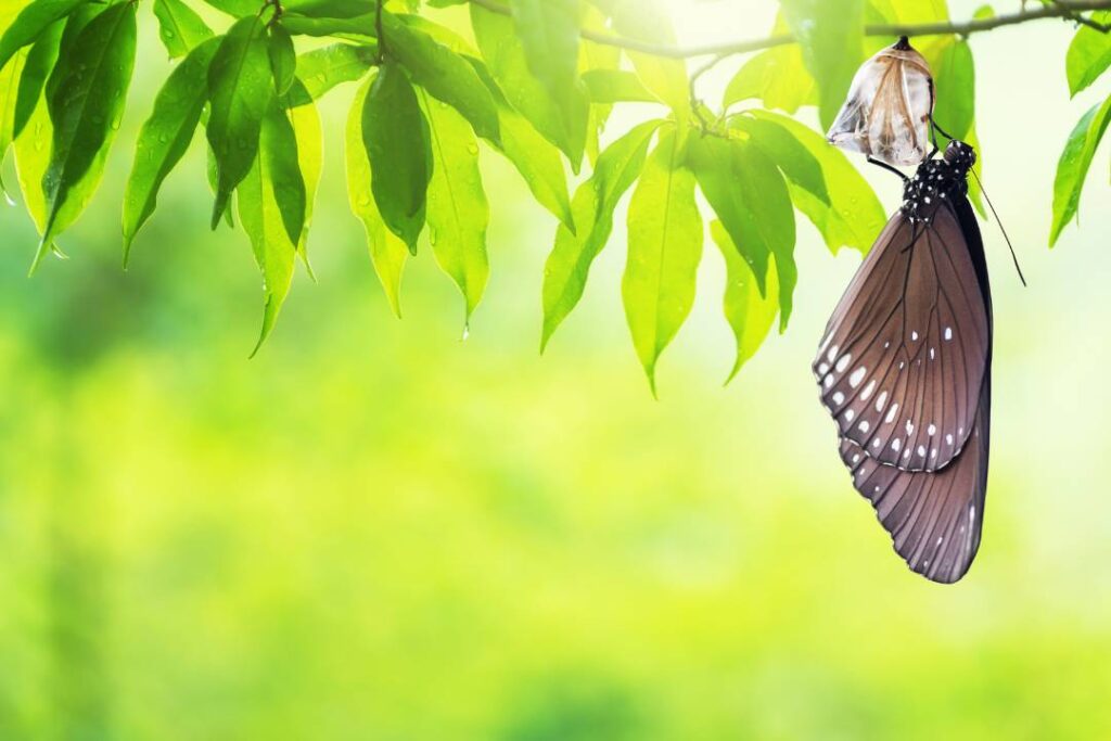 Change - 23 Christ Fellowship Devotionals