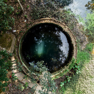 The Woman at the Well of Life