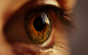 Open the eyes of my heart.