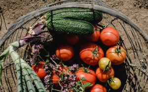 How Does My Garden Grow