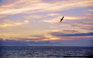 The Story Behind “It is Well With My Soul”