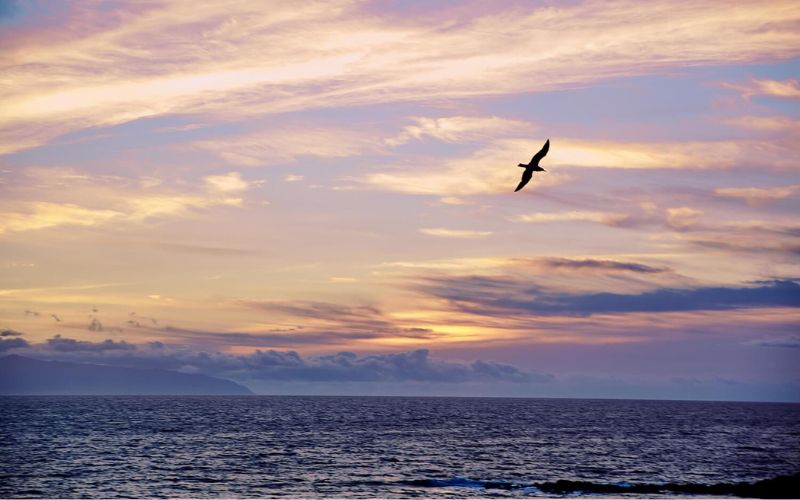 The Story Behind “It is Well With My Soul”